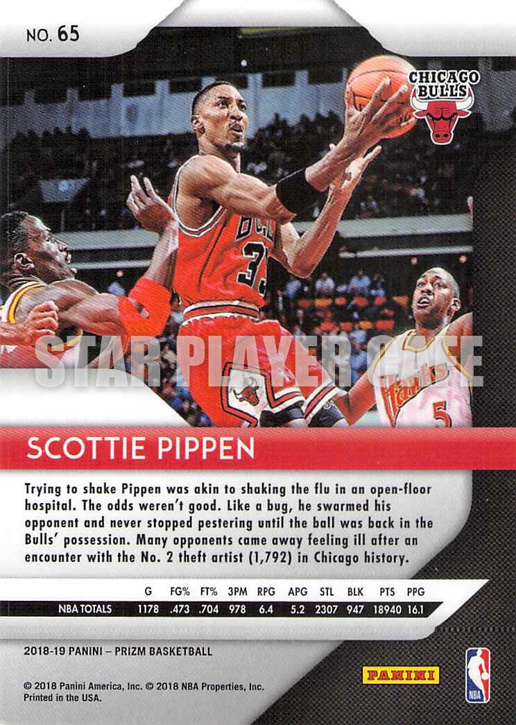 1819PZ0065-SCOTTIEPIPPEN