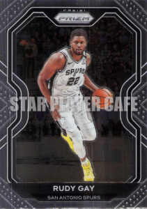 2021PZ0004-RUDYGAY
